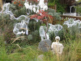 1386_2012_10_25_005.jpg