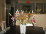 1386_2013_03_20_001.JPG
