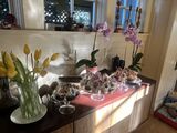 Juliette_2025_05_09_016.jpeg