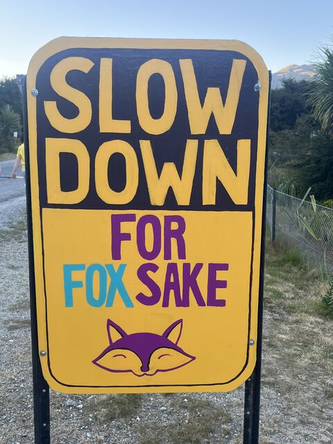Wanaka_2024_12_27_006.jpeg