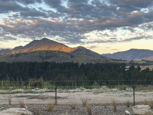 Wanaka_2025_01_01_005.jpeg