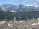 Wanaka_2024_12_23_001.jpeg