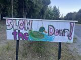 Wanaka_2024_12_27_008.jpeg
