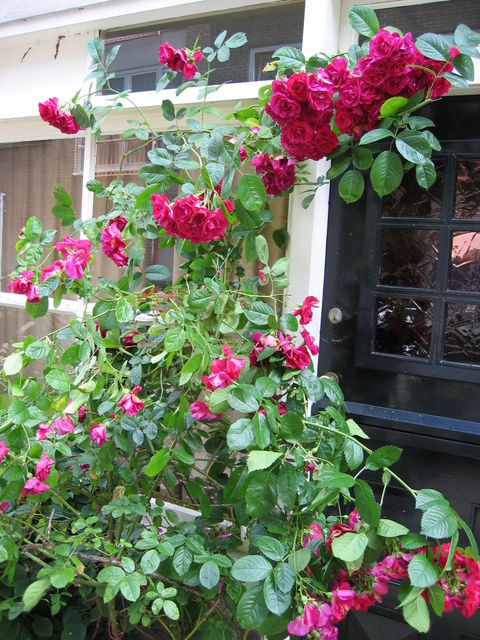 Amsterdam0017.JPG