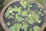 Filename=Thailand_2015_12_03_074.jpg
Filesize=13067KiB
Dimensions=2047x1365
Date added=Nov 13, 2016 Thailand_2015_12_03_074.jpg