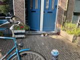 Amsterdam_2022_07_08_008.JPG