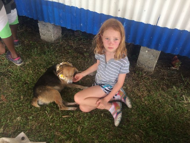 Fiji_2015_11_24_036.JPG