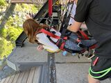 Wanaka_2022_12_30_003.jpeg