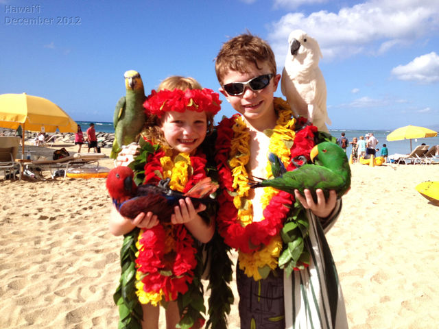 Hawaii_2012_12_26_007.jpg