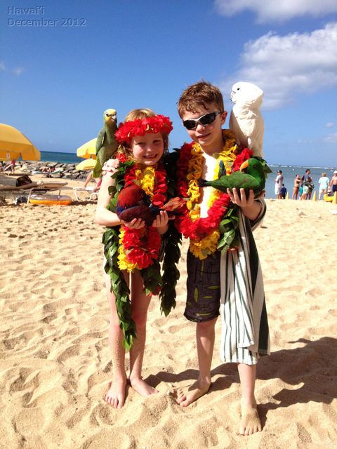 Hawaii_2012_12_26_008.jpg
