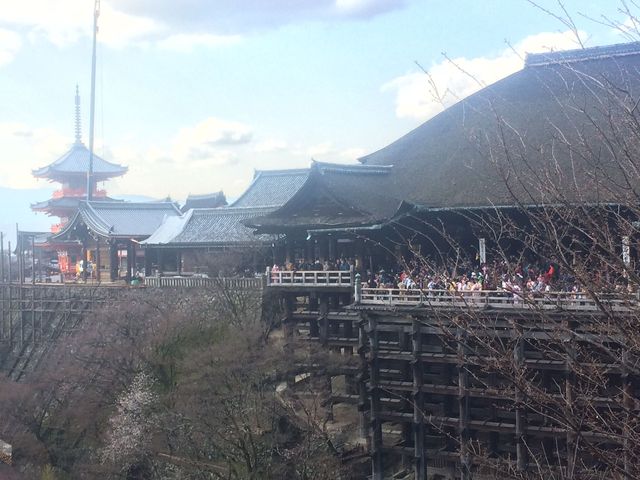 Kyoto_2016_03_28_131.JPG