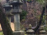 Filename=Kyoto_2016_03_28_062.JPG
Filesize=1641KiB
Dimensions=2048x1536
Date added=Nov 13, 2016 Kyoto_2016_03_28_062.JPG