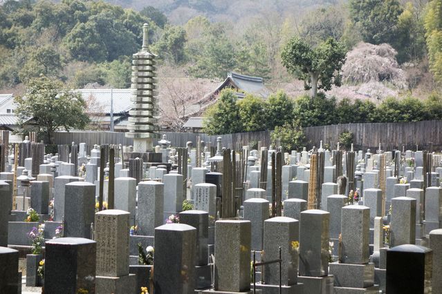 Arashiyama_2016_03_12_003.jpg