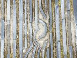 Arashiyama_2016_03_12_026.JPG