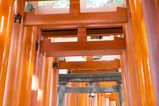 Fujishimi_Inari_Taisha_2016_03_12_018.jpg