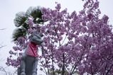 Fujishimi_Inari_Taisha_2016_03_12_077.jpg
