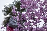 Fujishimi_Inari_Taisha_2016_03_12_078.jpg