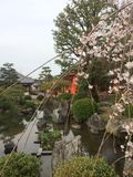 Rengeoin_Sanjusangen_2016_03_12_022.JPG