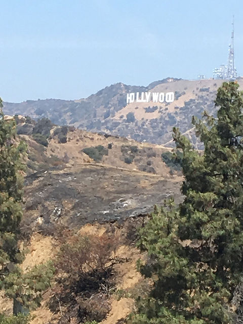 LA_2018_07_17_001_cropped.jpg