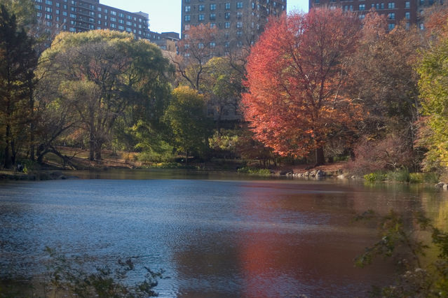 Central_Park___Times_Square_2004_11_13_016.jpg