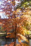 Central_Park___Times_Square_2004_11_13_005.jpg