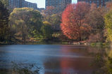 Central_Park___Times_Square_2004_11_13_016.jpg