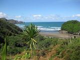 NZ_2009_03_02_004.JPG