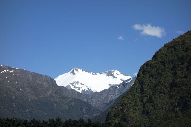 NZ_2016_01_01_002.jpg