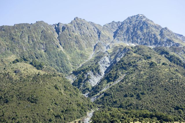 NZ_2016_01_01_003.jpg