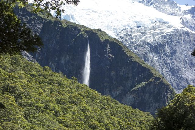 NZ_2016_01_01_012.jpg