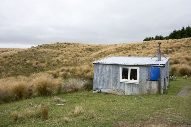 NZ_2016_01_15_023.jpg