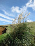 NZ_2009_03_02_016.JPG