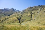 NZ_2016_01_01_001.jpg