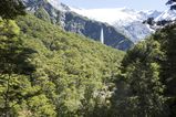 NZ_2016_01_01_013.jpg