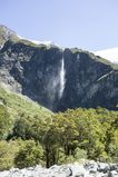 NZ_2016_01_01_020.jpg