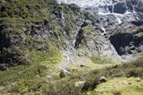 NZ_2016_01_01_045.jpg