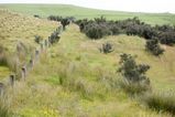 NZ_2016_01_15_034.jpg