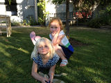 NZ_2012_02_19_008.jpg