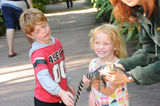 Oz_2011_07_31_001.jpg