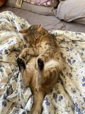 Pickle_2021_10_16_001.jpg