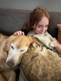 Pickle_2021_12_12_004.jpg