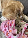 Pickle_2022_02_13_003.jpg