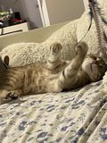 Pickle_2022_02_17_004.jpg