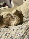 Pickle_2022_02_17_006.jpg