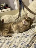 Pickle_2022_02_17_007.jpg