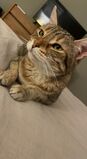 Pickle_2022_10_04_001.jpeg