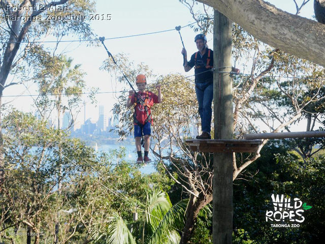 Wild Ropes, Taronga Zoo (Sydney)
