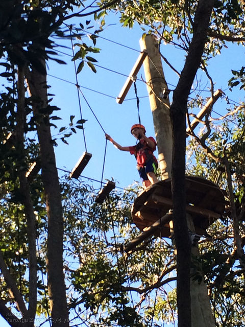 Wild Ropes, Taronga Zoo (Sydney)
