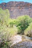 Robert_2025_04_19_0030.jpeg