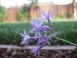 Robert_2014_06_25_008.jpg
